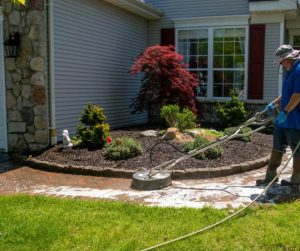 Soft Washing Services