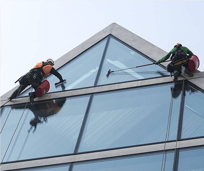 Professional Window Cleaning